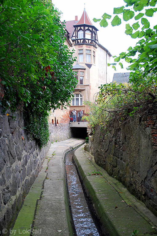 Altenburg - Blaue Flut