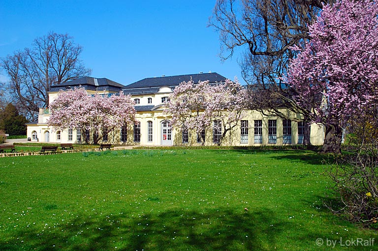 Altenburg - Orangerie