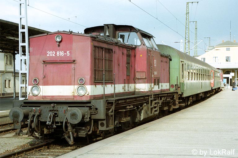 202 816